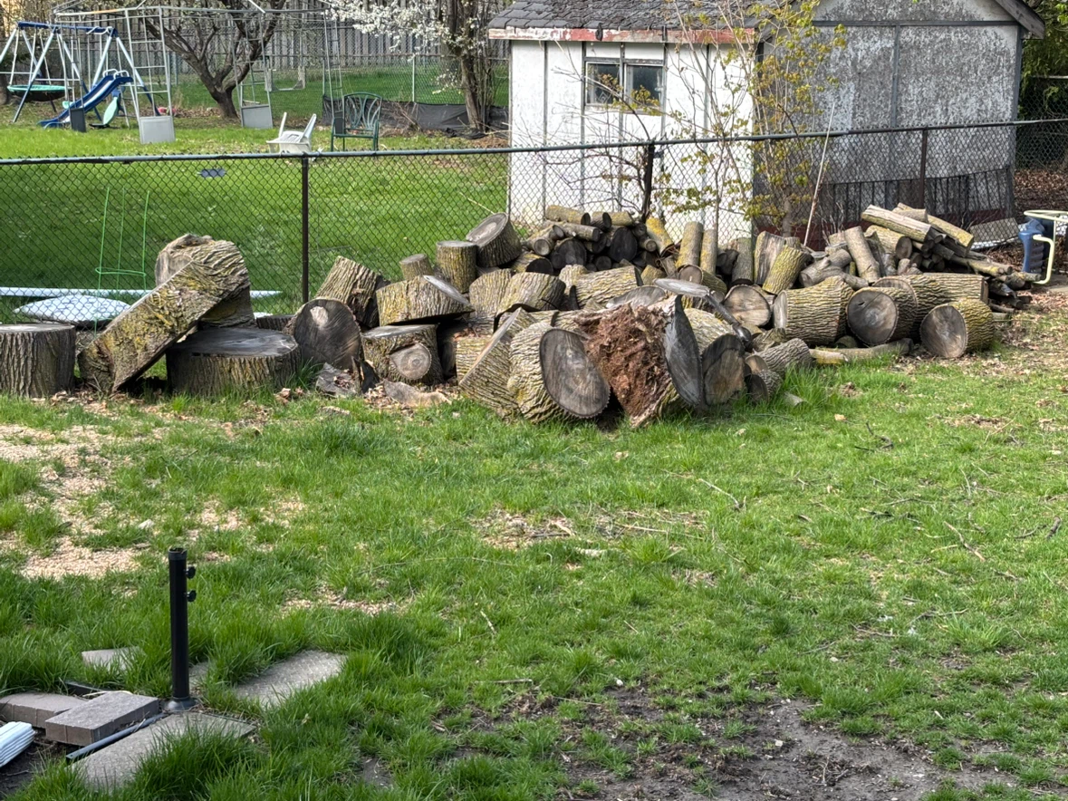 Free wood