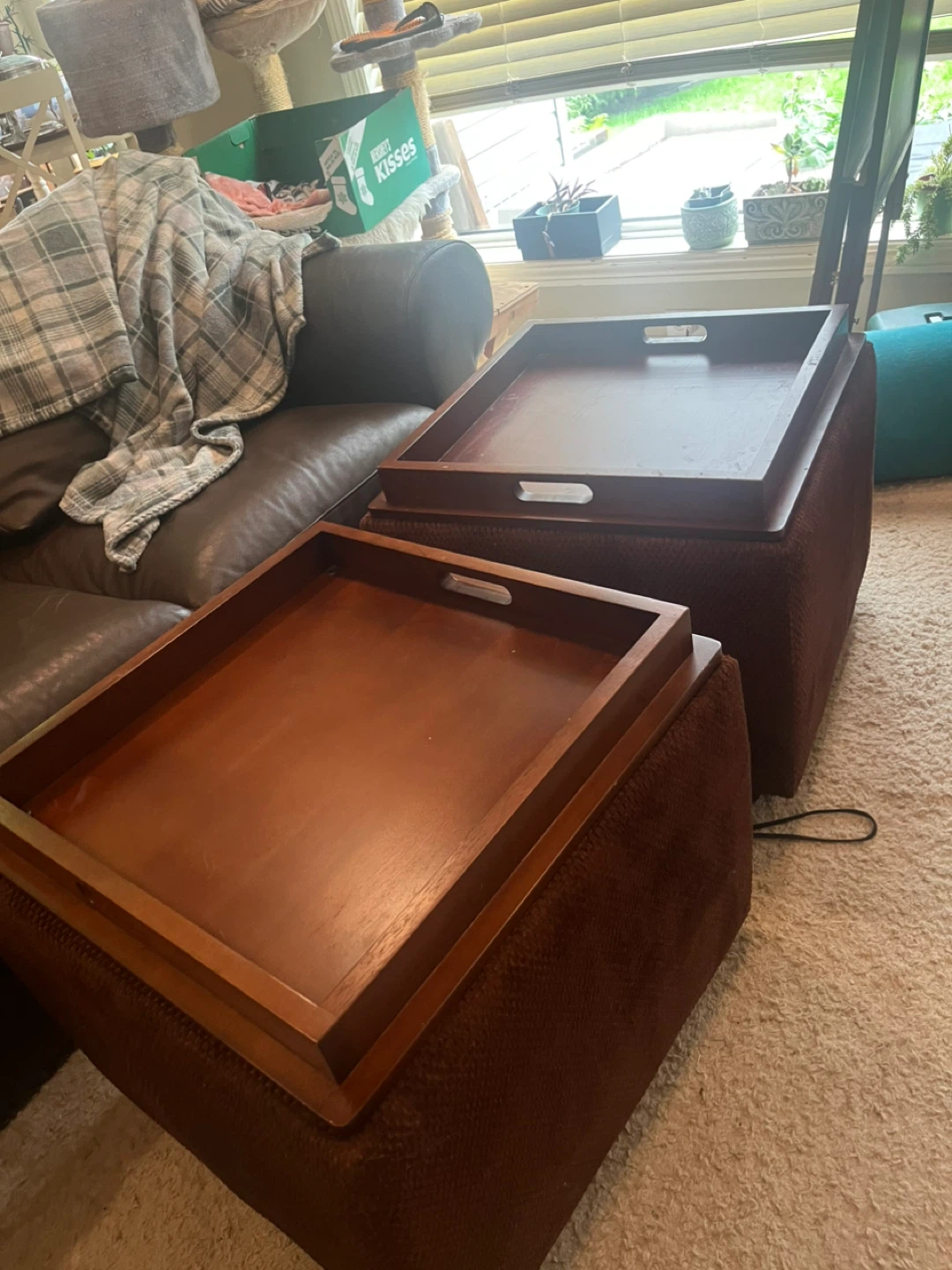 Set of 2 Ottoman Storage Cubes with Trays