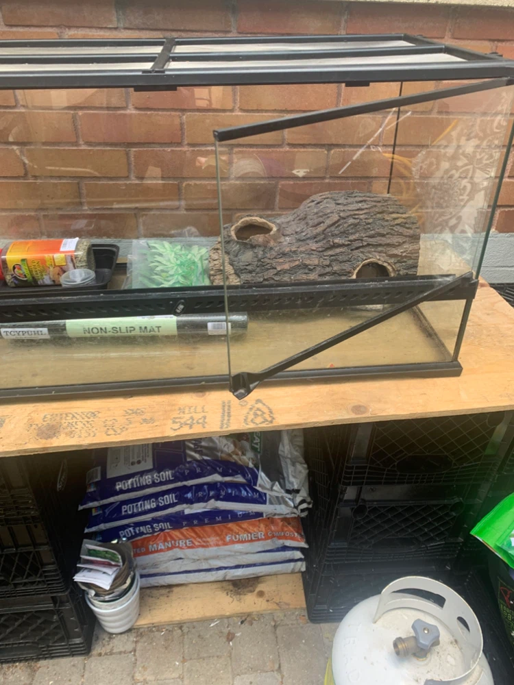 Terrarium Tank with Accessories - photo 3