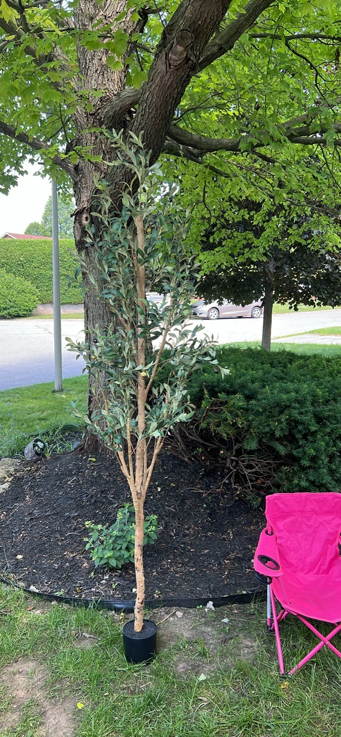 Artificial Olive Tree in Pot