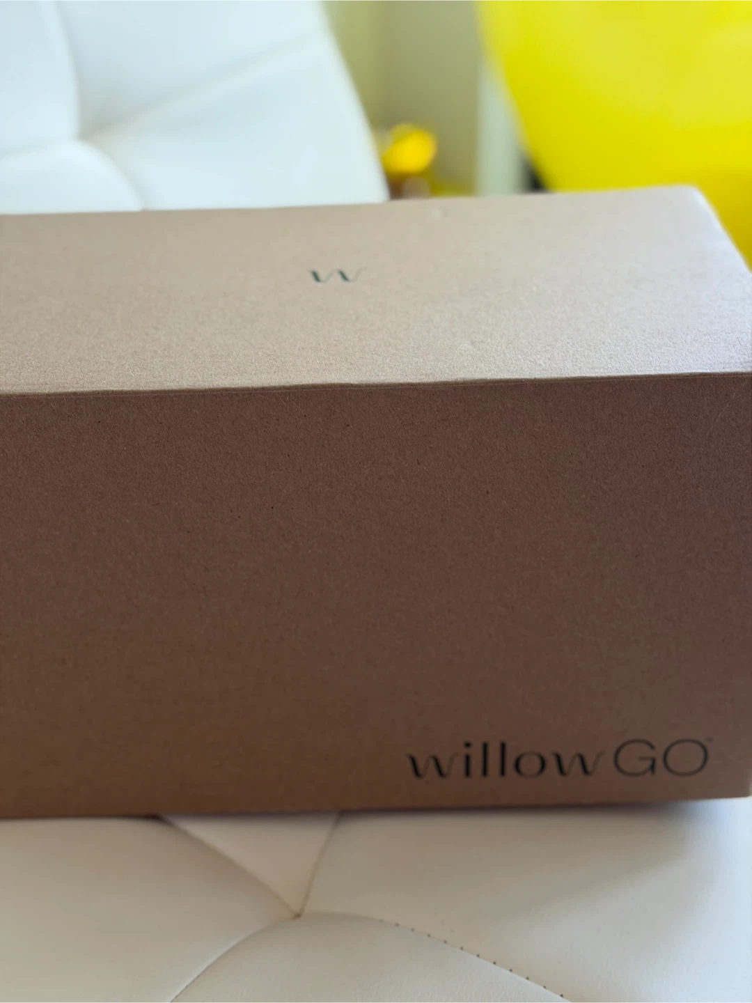 Willow GO 3.0 - photo 2