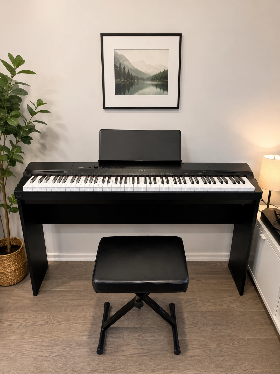 Casio Privia PX-160 Digital Piano – Complete Set