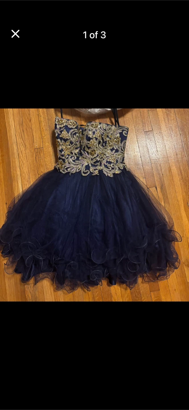 Navy Blue Tulle Dress with Gold Embellishments