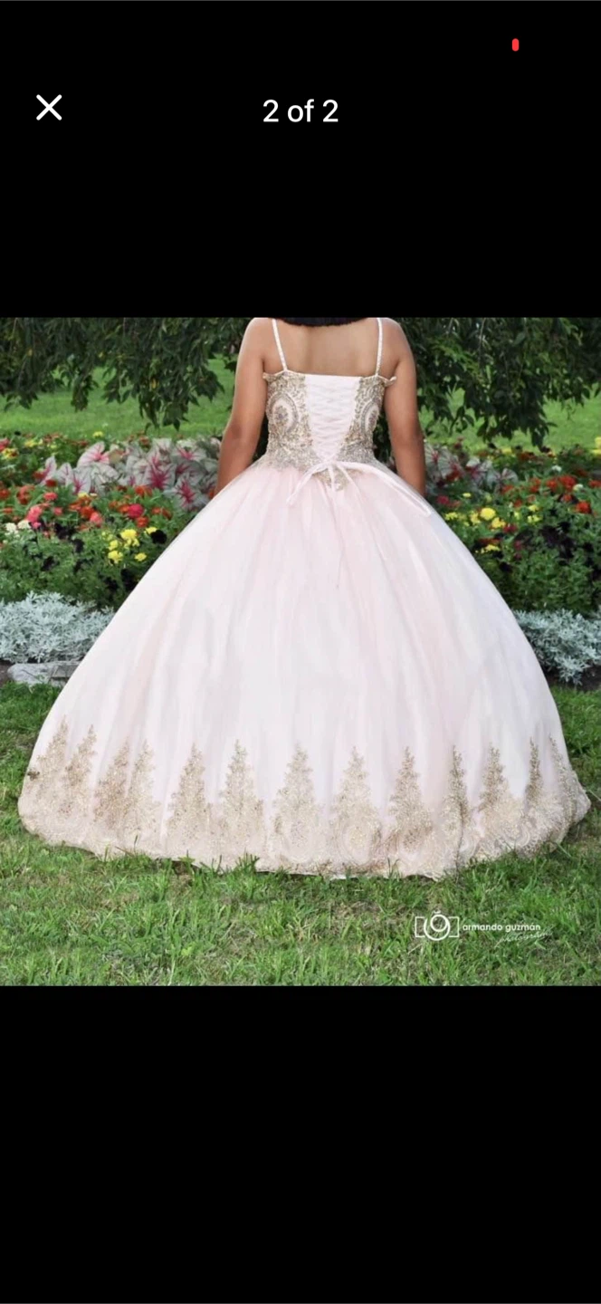Pink Quinceañera Dress with Gold Embroidery - photo 2