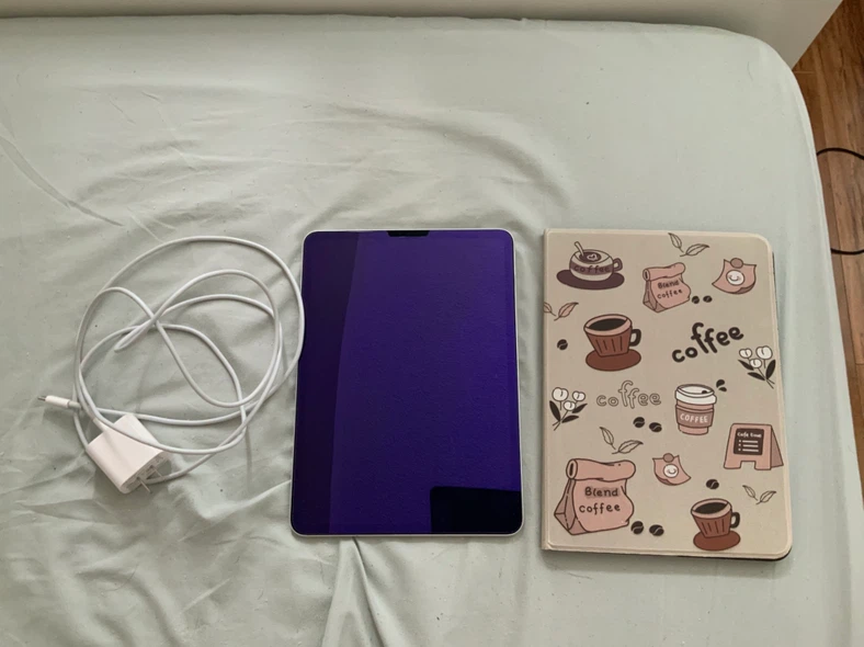 iPad Pro (11-inch) 256GB already cheap price