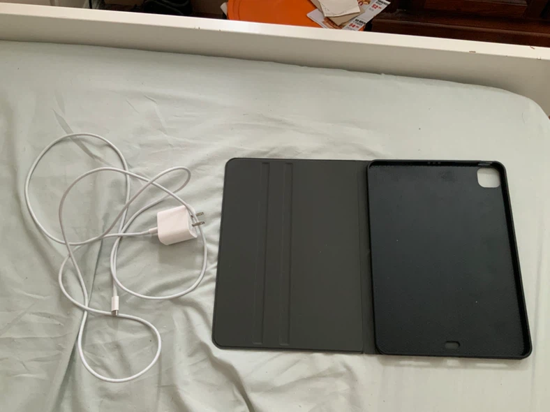iPad Pro (11-inch) 256GB already cheap price - photo 3