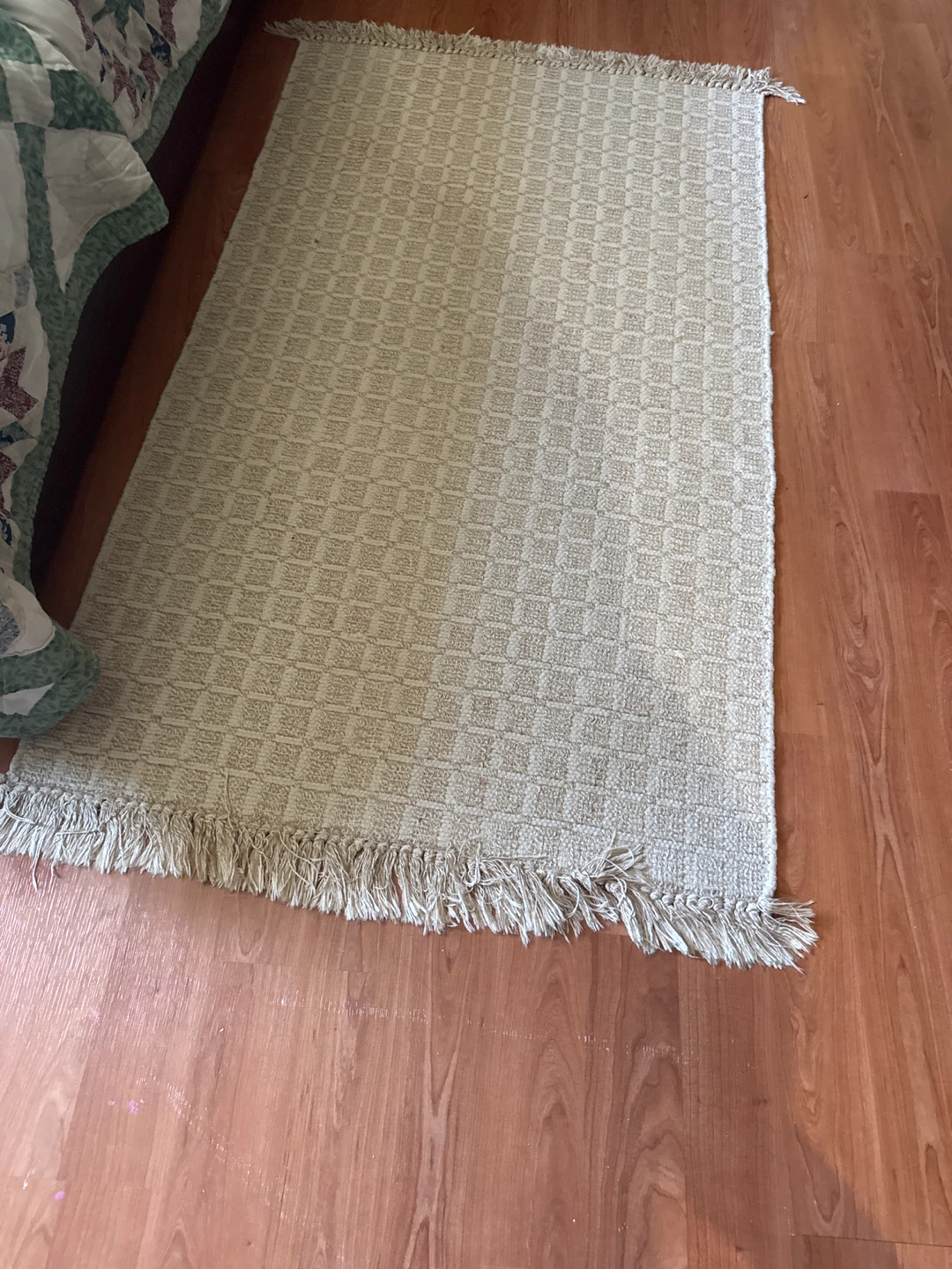 Tan Textured Accent Rug with Fringe