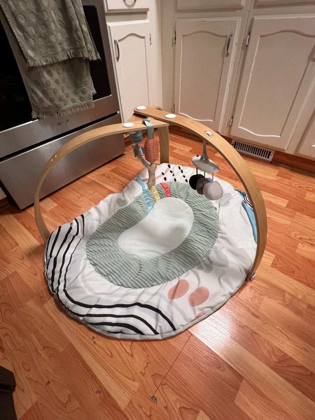 Skip Hop Baby Play Gym with Mirror - photo 2