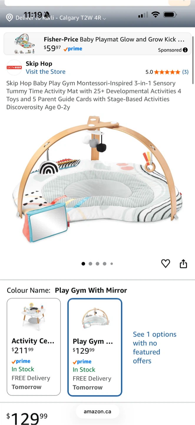 Skip Hop Baby Play Gym with Mirror - photo 3