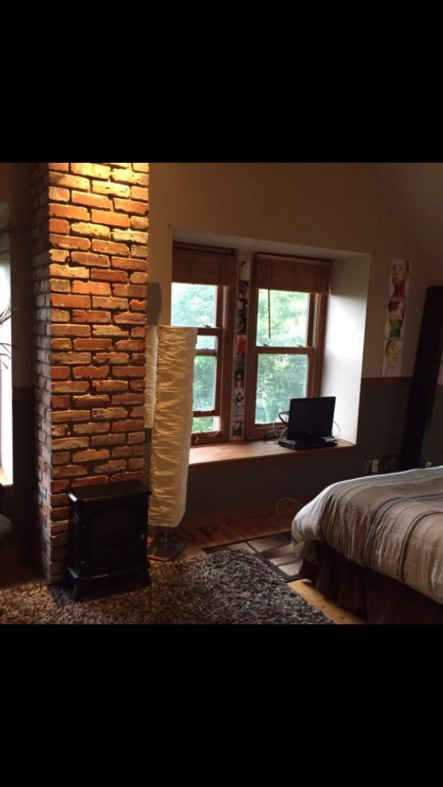 Gorgeous room for rent in the downtown Rivervalley - photo 3