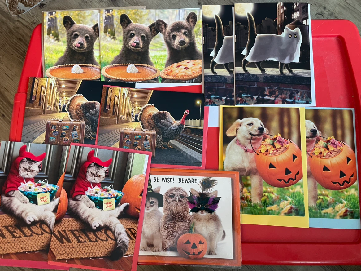Halloween & Thanksgiving Greeting Card Bundle of 11 unused