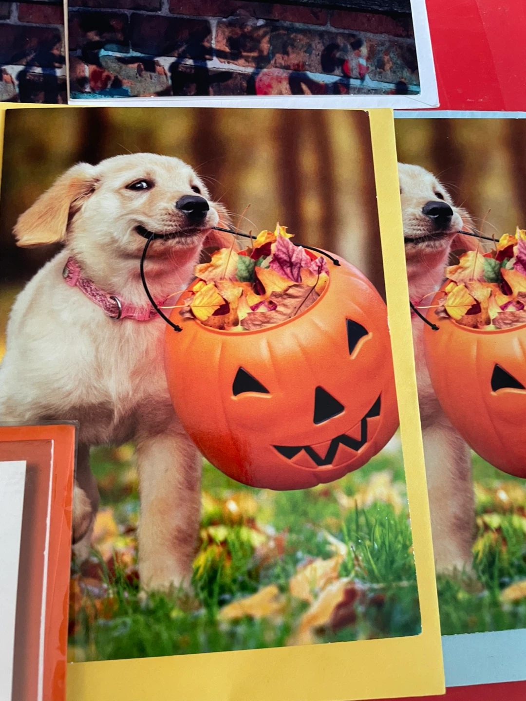 Halloween & Thanksgiving Greeting Card Bundle of 11 unused - photo 5