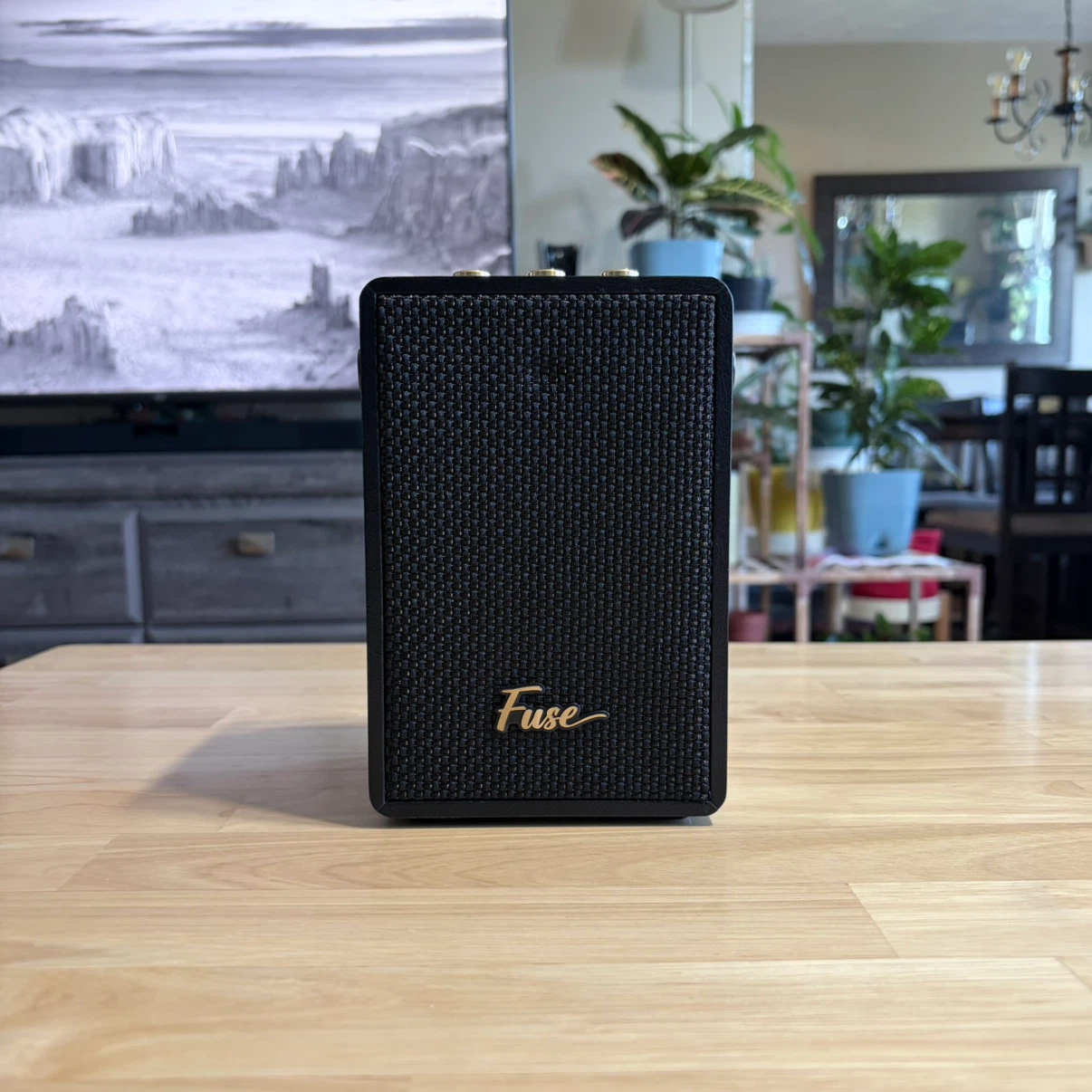 Fuse Andle Portable Speaker - photo 3