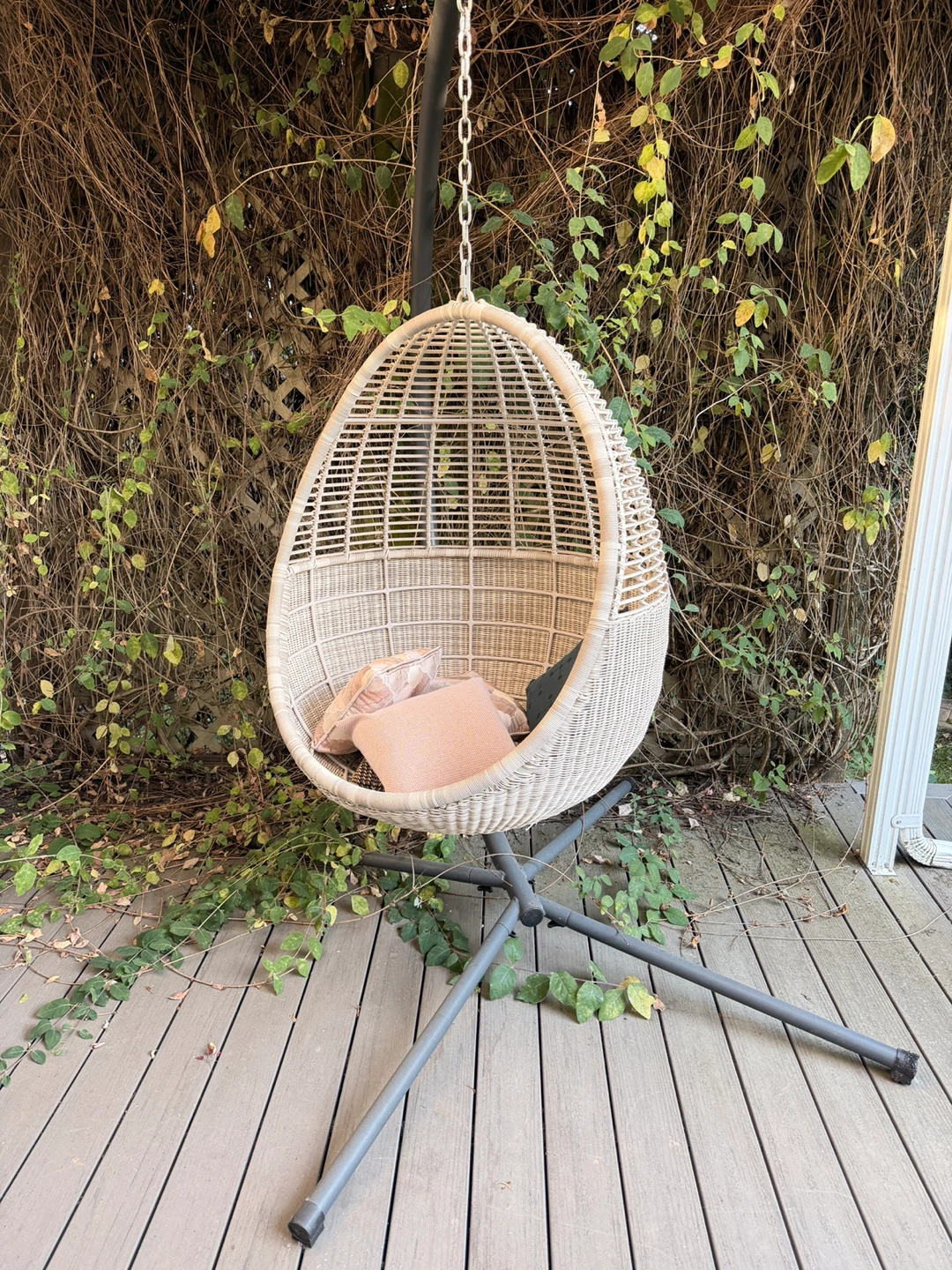 Big Egg Chair