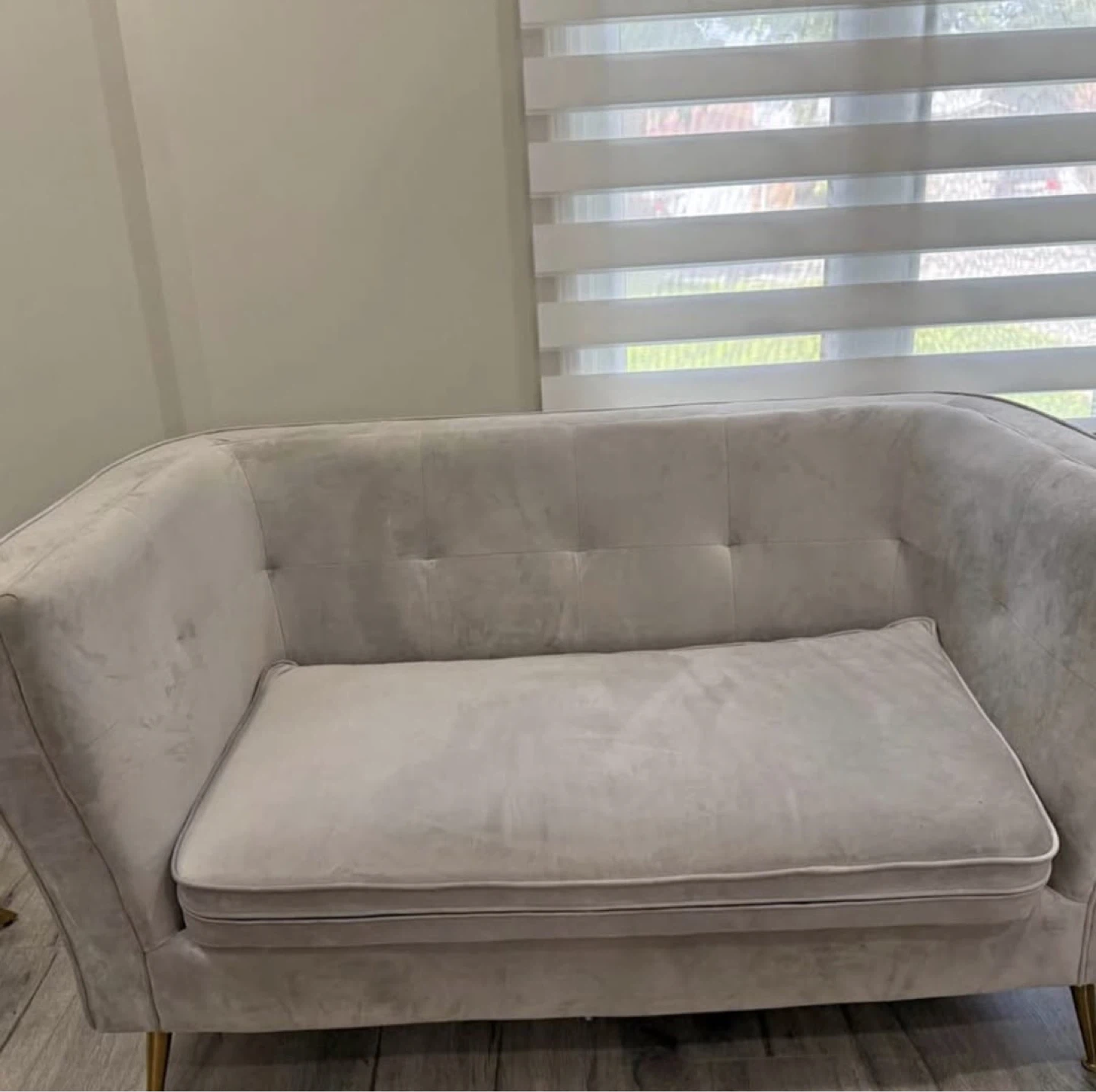 Velvet Loveseat