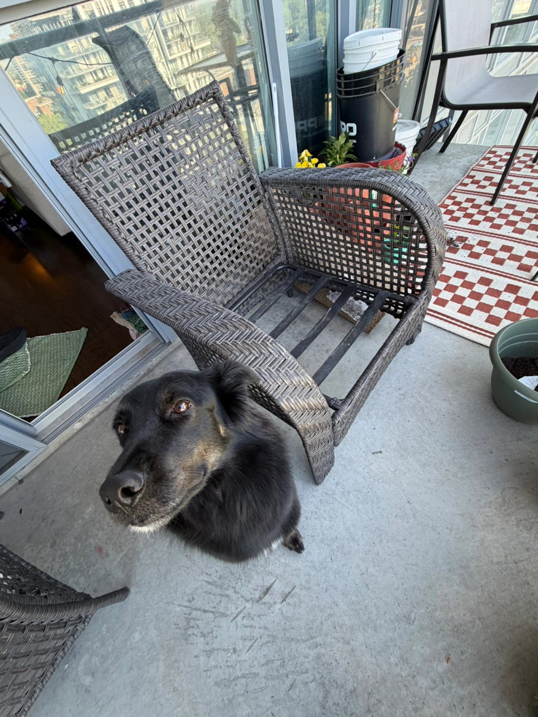 Wicker Patio Chair - photo 2