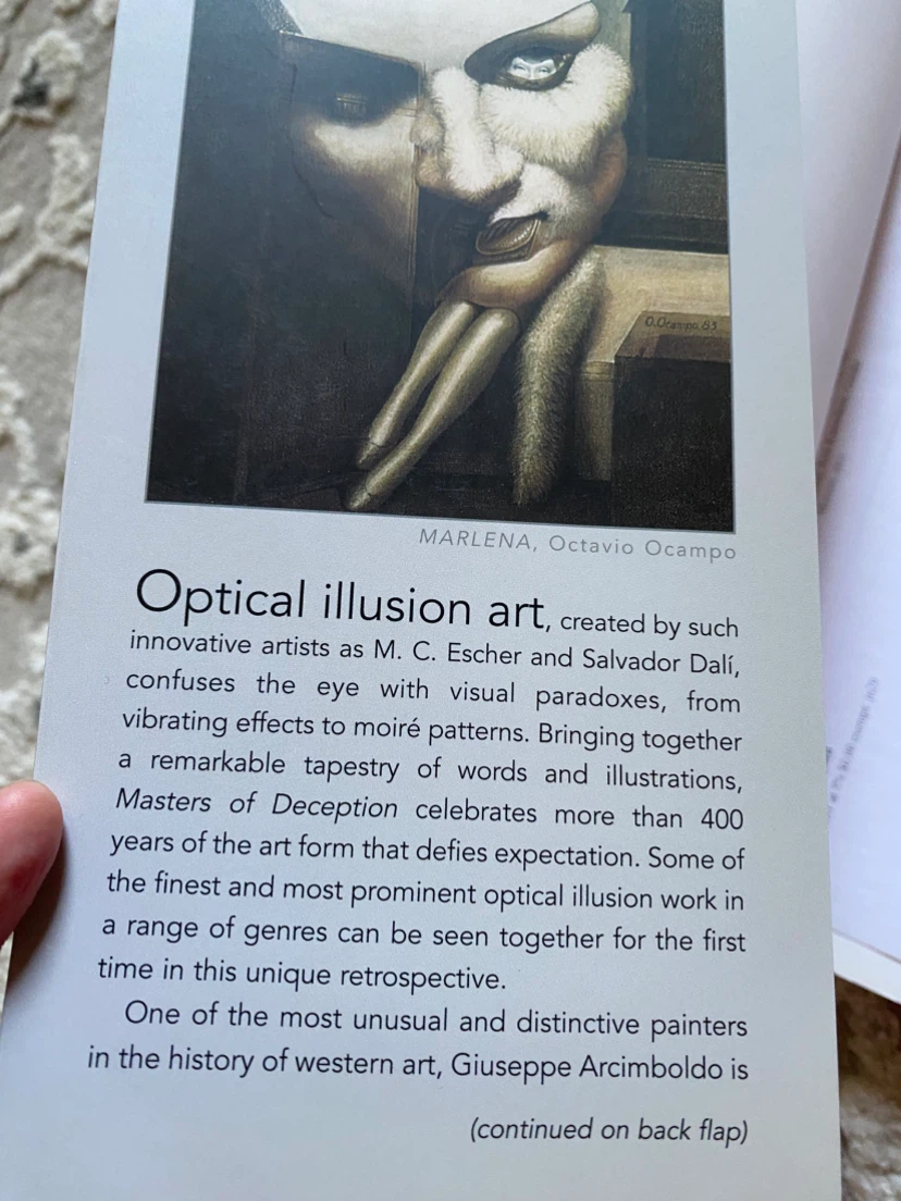 Masters of Deception: Artists of Optical Illusion Book - photo 2