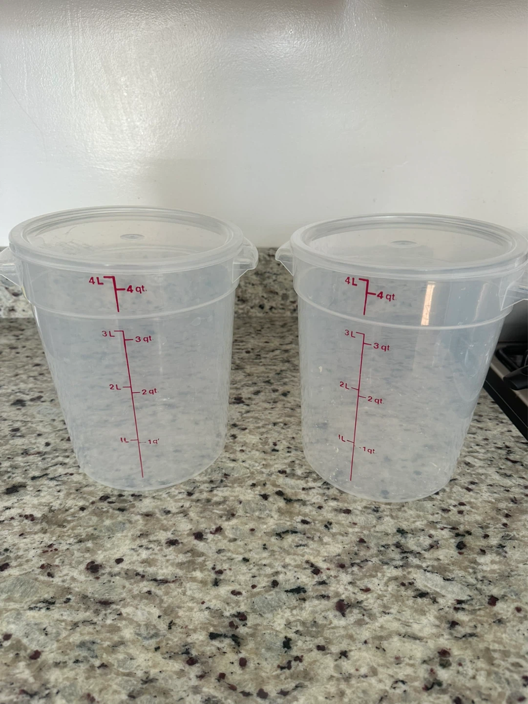 2 x 4 quart food storage containers