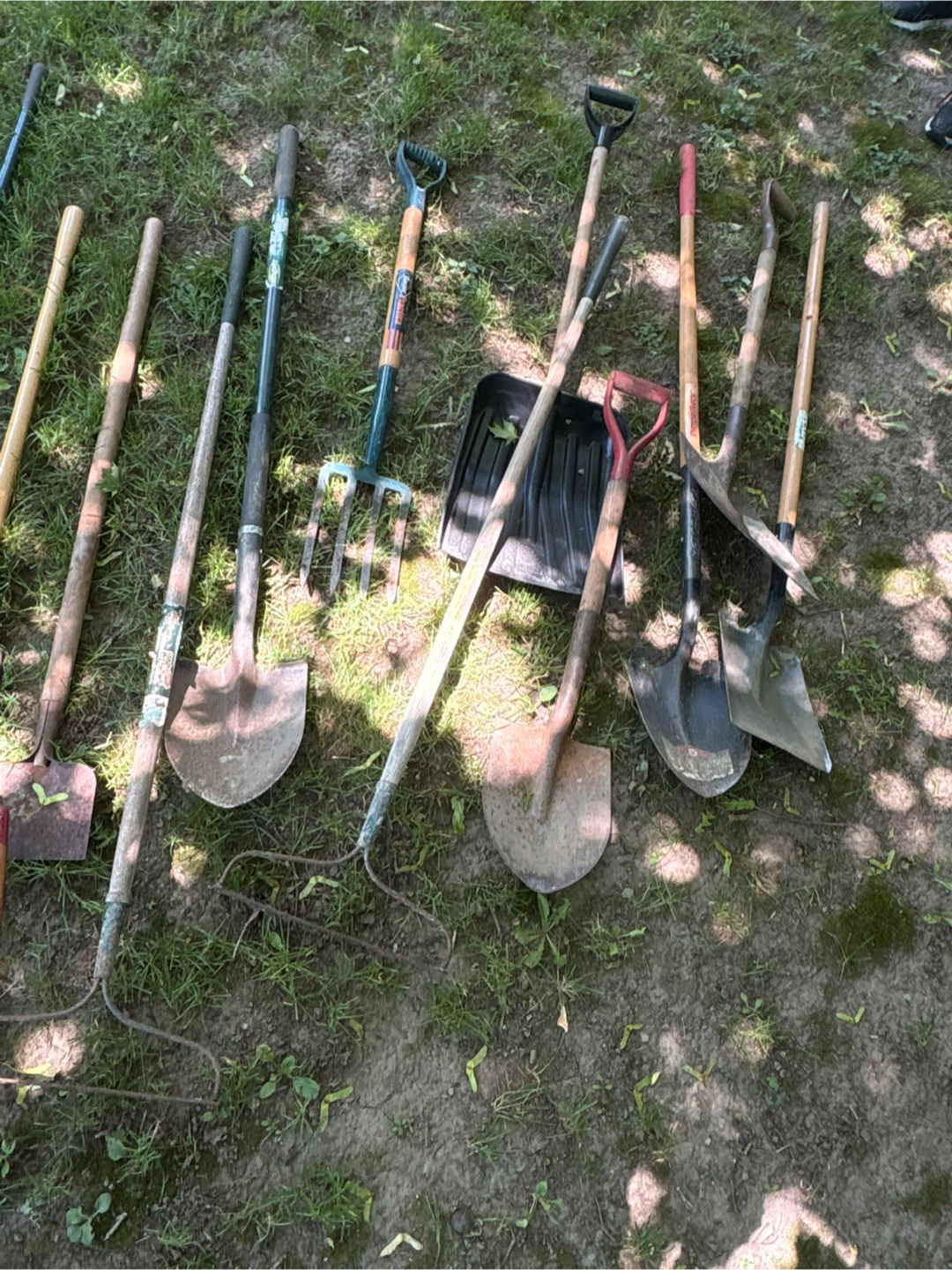 Assorted Garden Tools and Hoses - photo 3