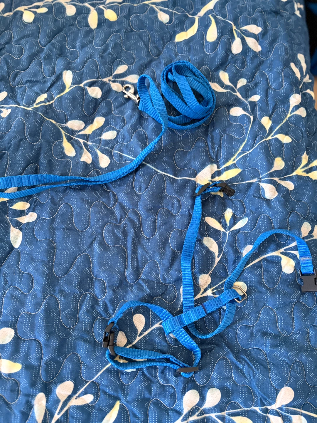 Blue Dog Harness and Leash Set