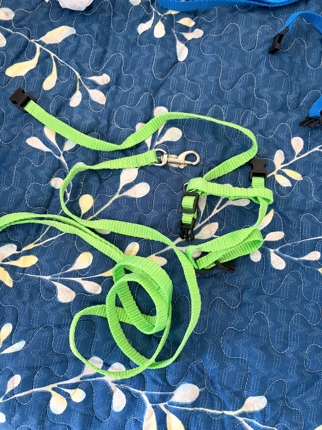 Green Pet Harness and Leash Set