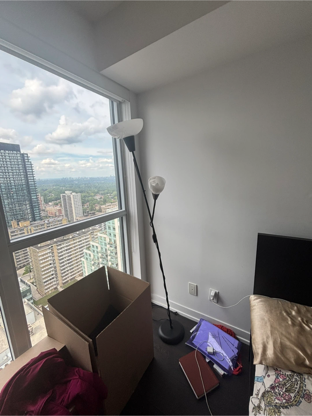 Black Floor Lamp