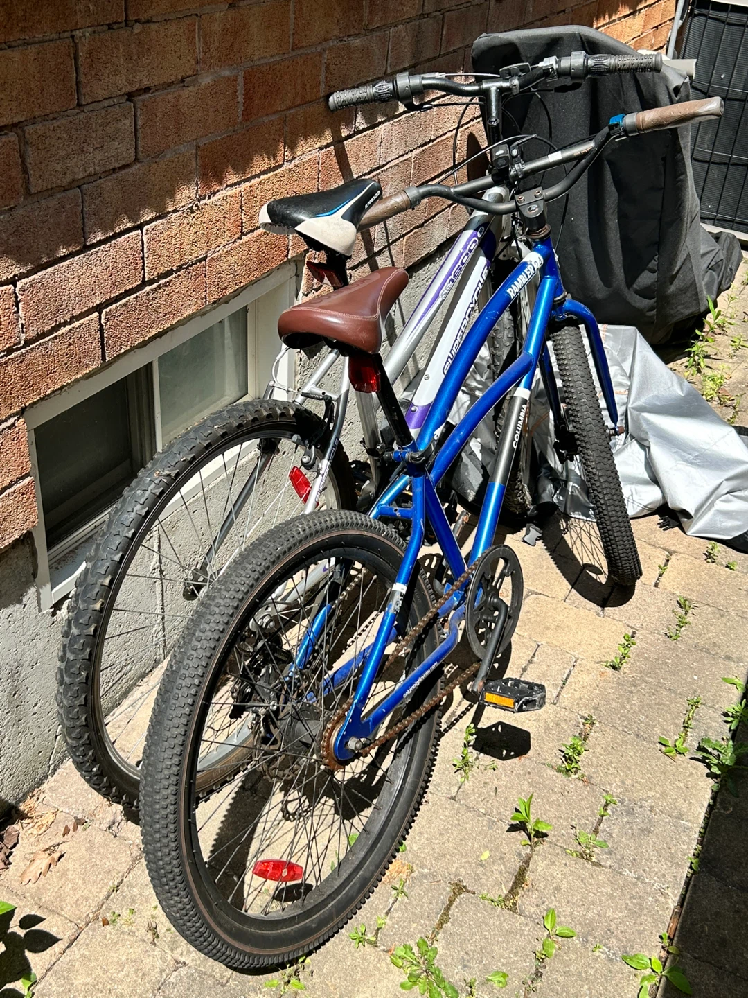 Both bikes for 60
