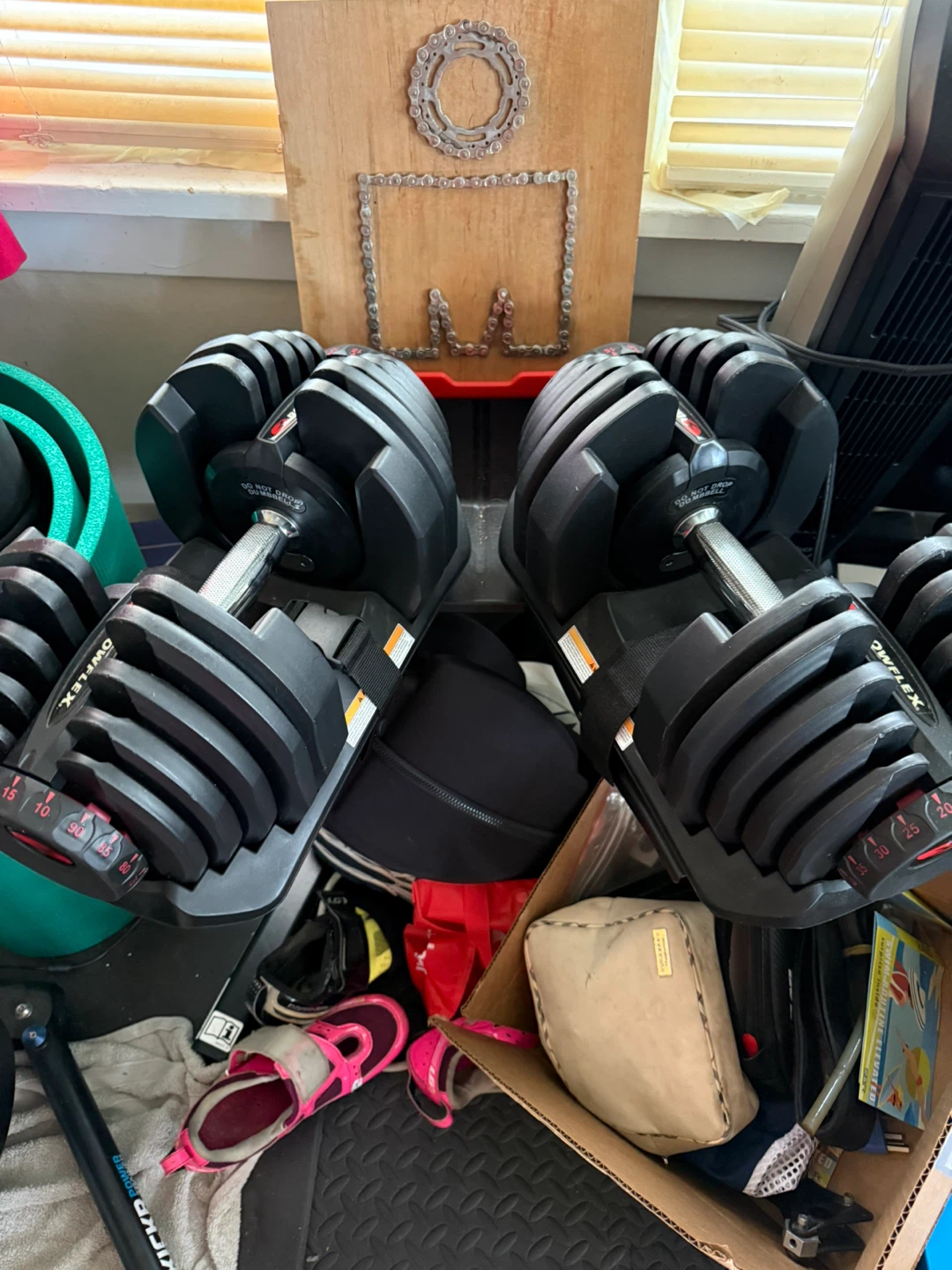 Bowflex Adjustable Dumbbells