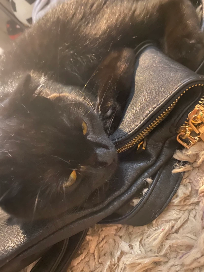 black Miztique Diana backpack purse - photo 5