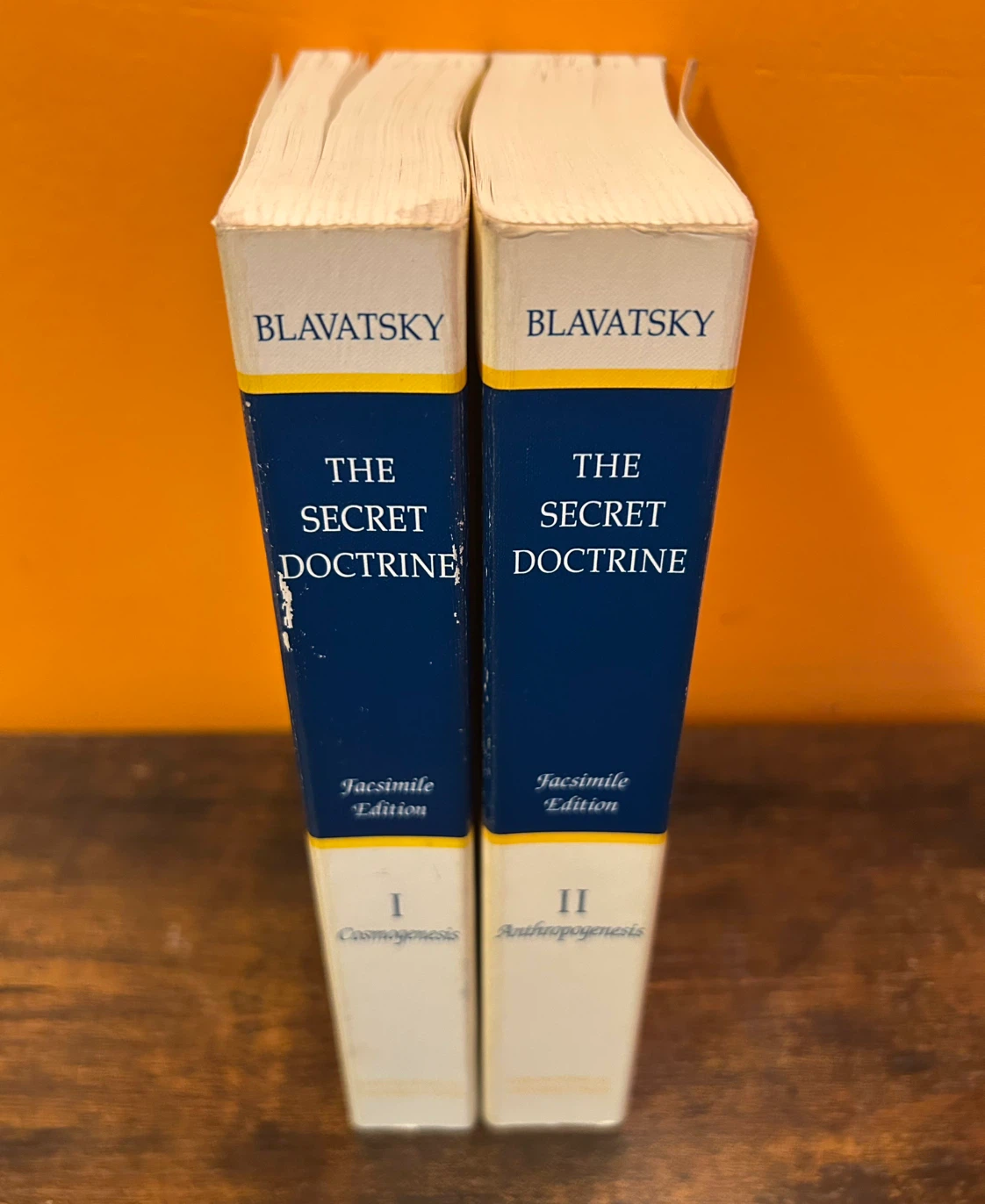 THE SECRET DOCTRINE - photo 2