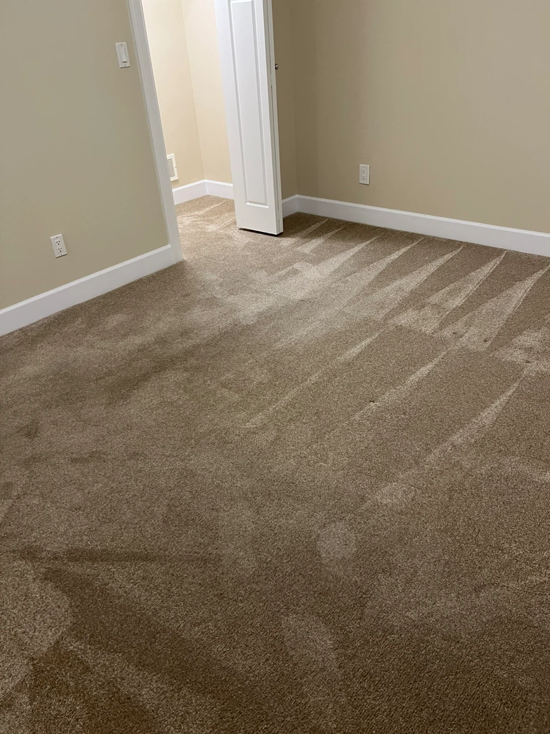 1 Bedroom Basement Suite in Cloverdale - photo 2
