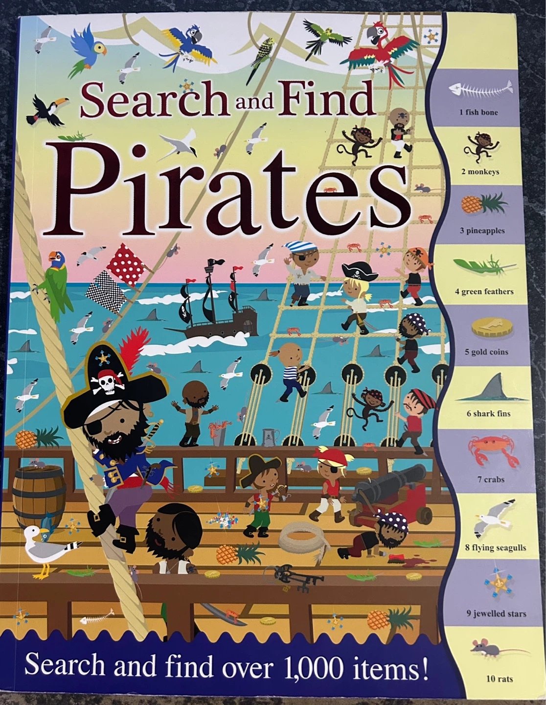 Search and Find Pirates Book