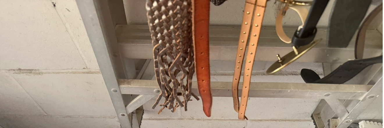 Assorted Belts - Braided Leather, Studded, and More