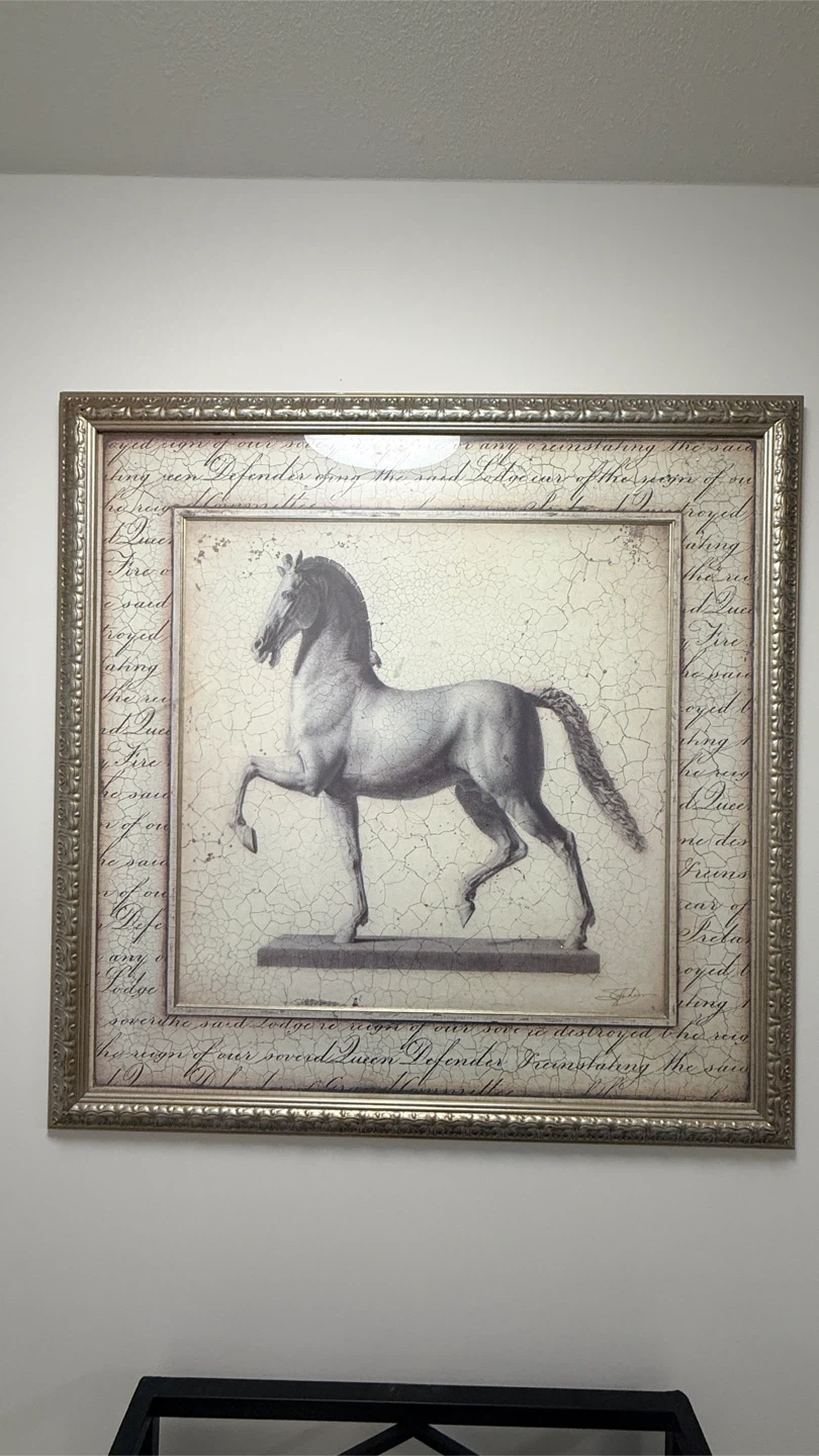 Framed Horse Wall Art - photo 2