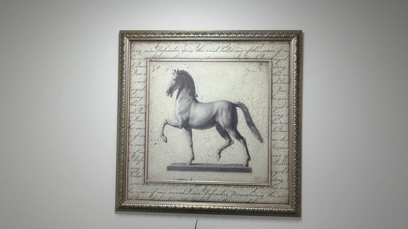 Framed Horse Wall Art - photo 5
