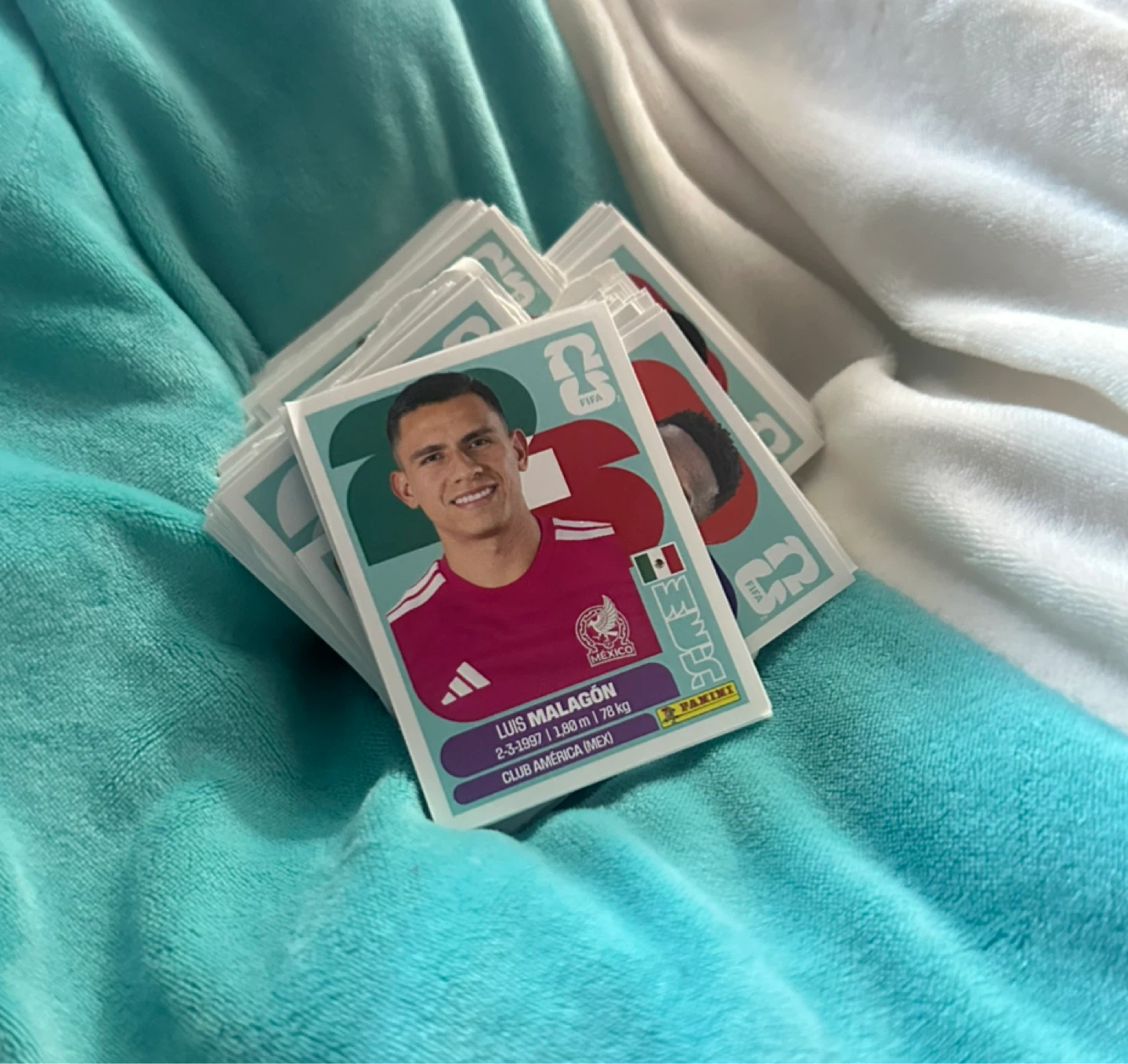FIFA World Cup 2026 Panini stickers