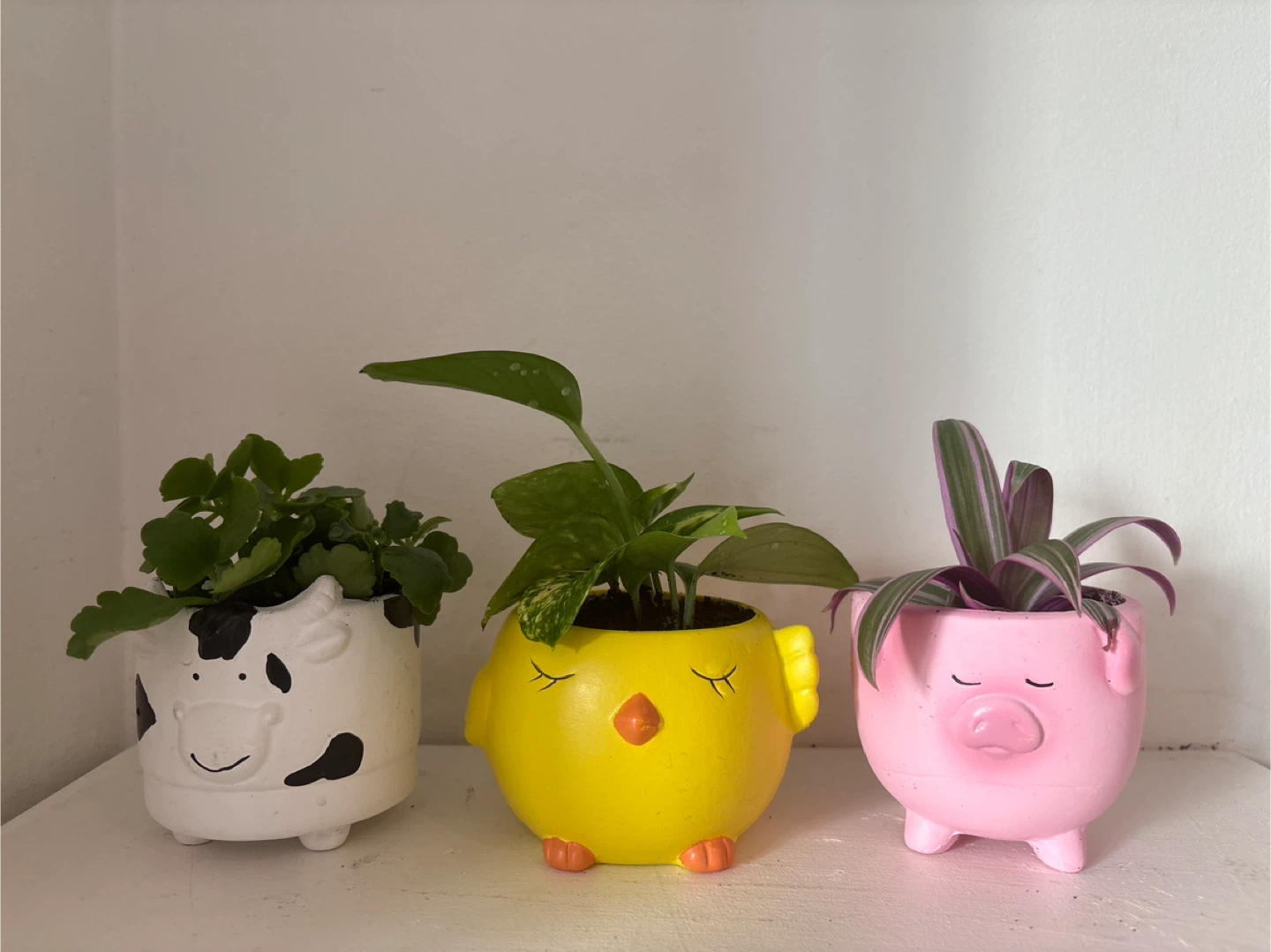 Set of 3 Cute Animal Planters