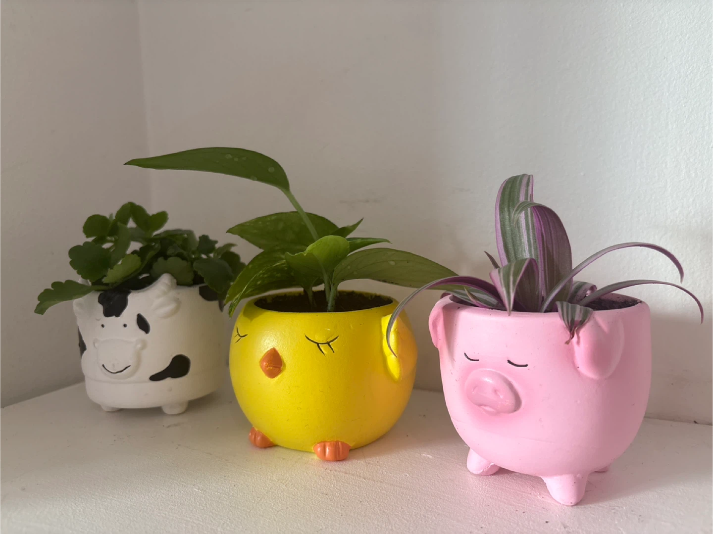 Set of 3 Cute Animal Planters - photo 3