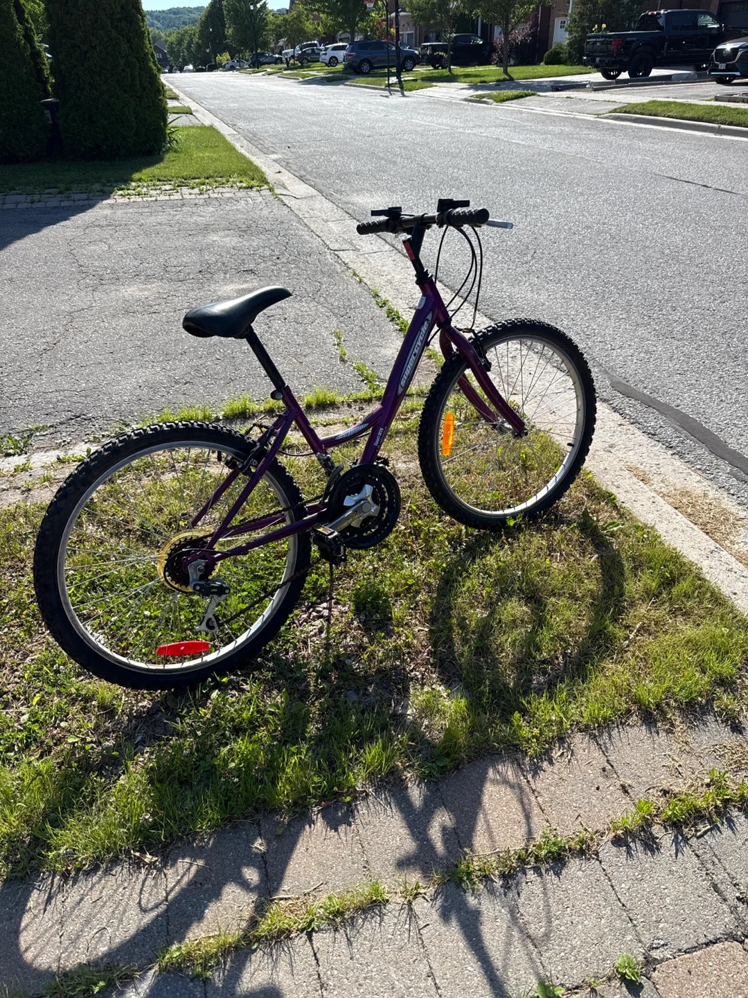 Free Purple Bike