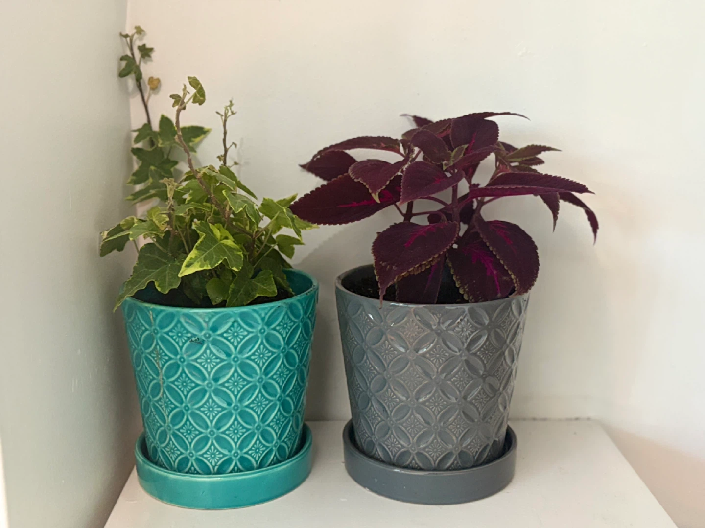 👑 Royal Duo – Velvet & Emerald Collection - photo 2