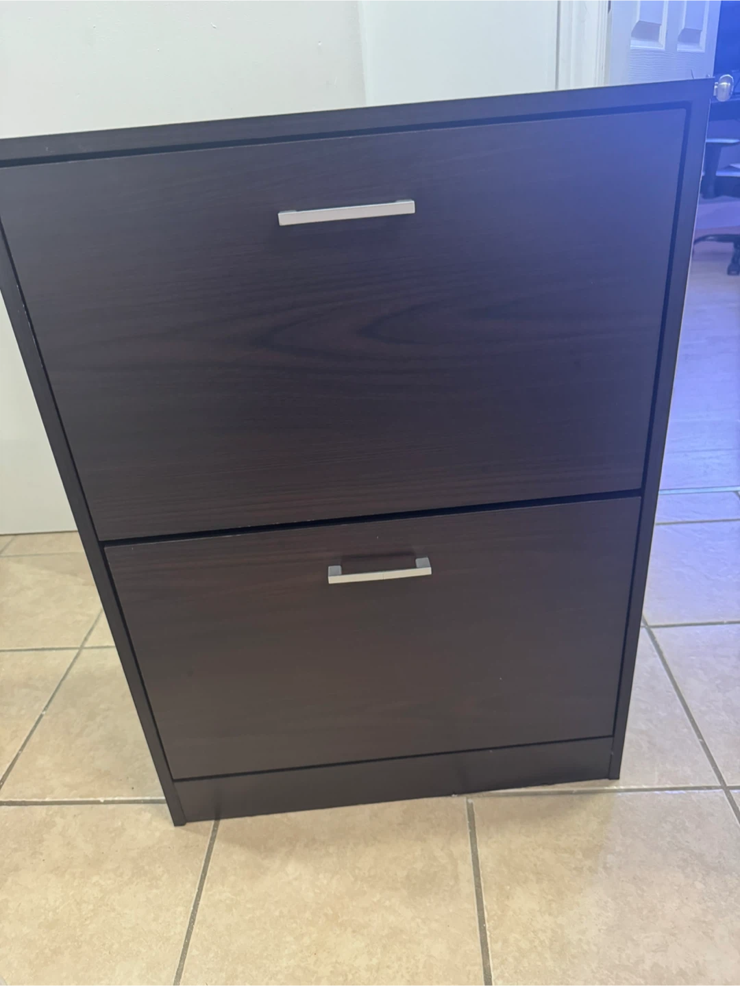 Dark Wood 2-Tier Shoe Cabinet