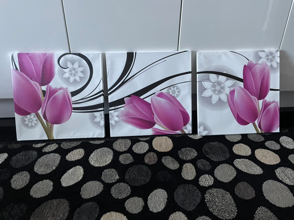 Set of 3 Tulip Canvas Wall Art