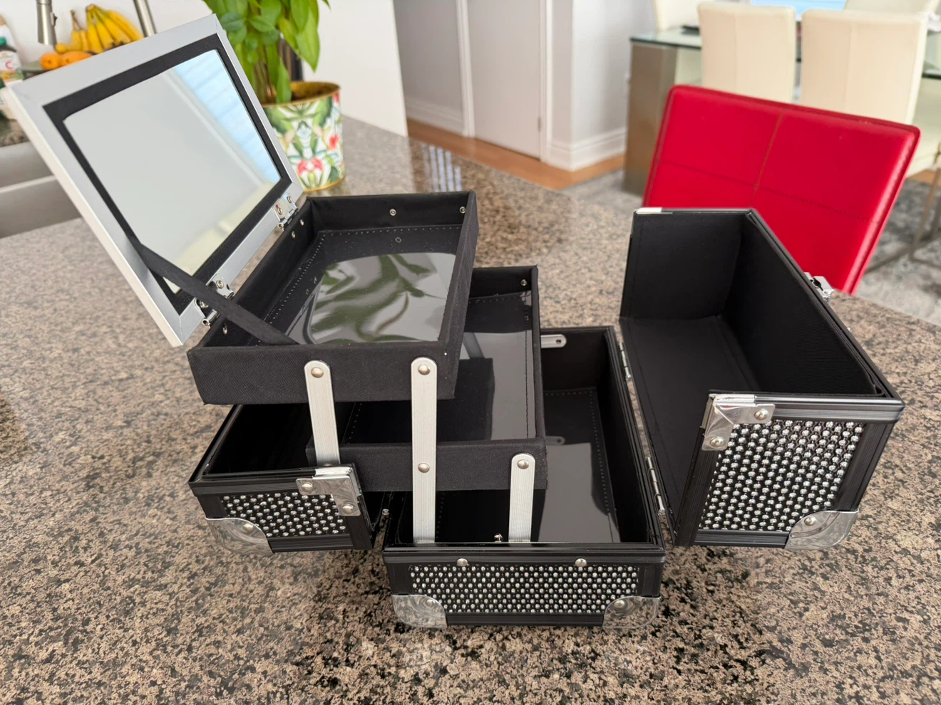 Black Makeup Train Case with Mirror