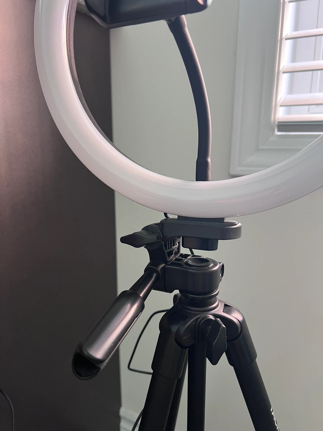 Ring Light with Tripod Stand - photo 2