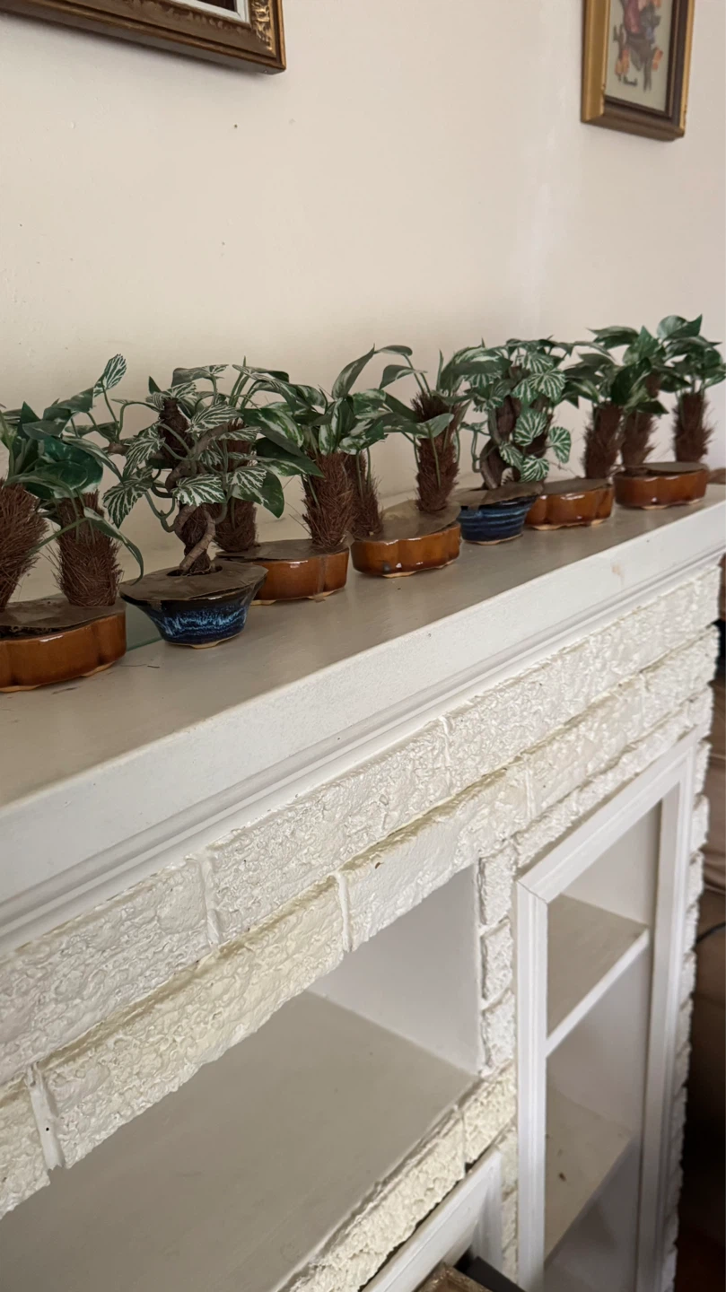Collection of 7 Faux Bonsai Trees in Ceramic Pots