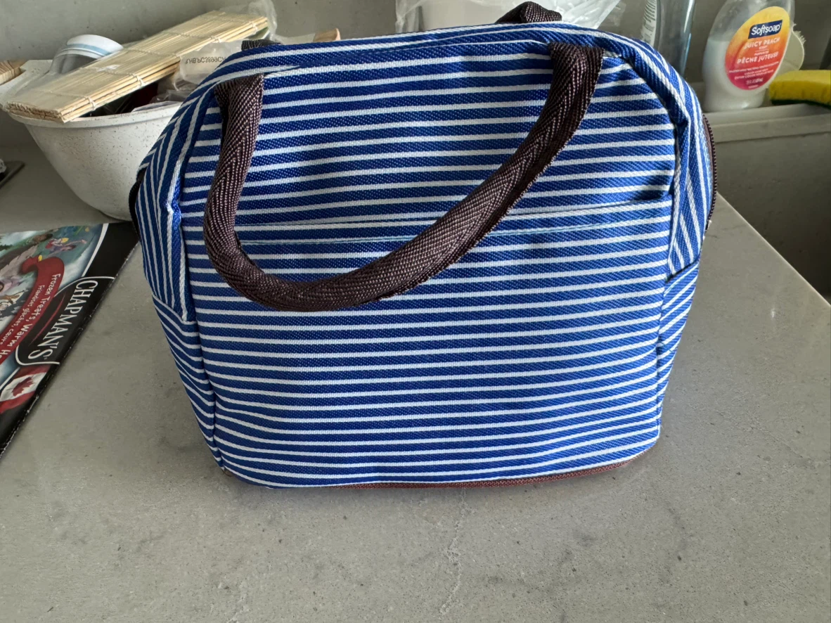 Moving sales- must go Thermal Insulated Lunch Bag