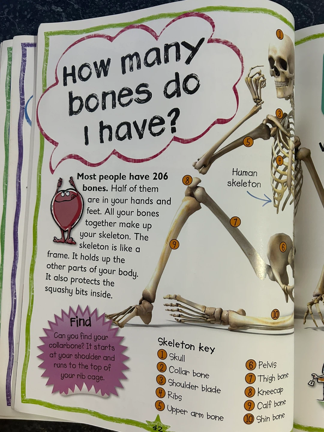 Questions & Answers Science Book by Miles Kelly - photo 5