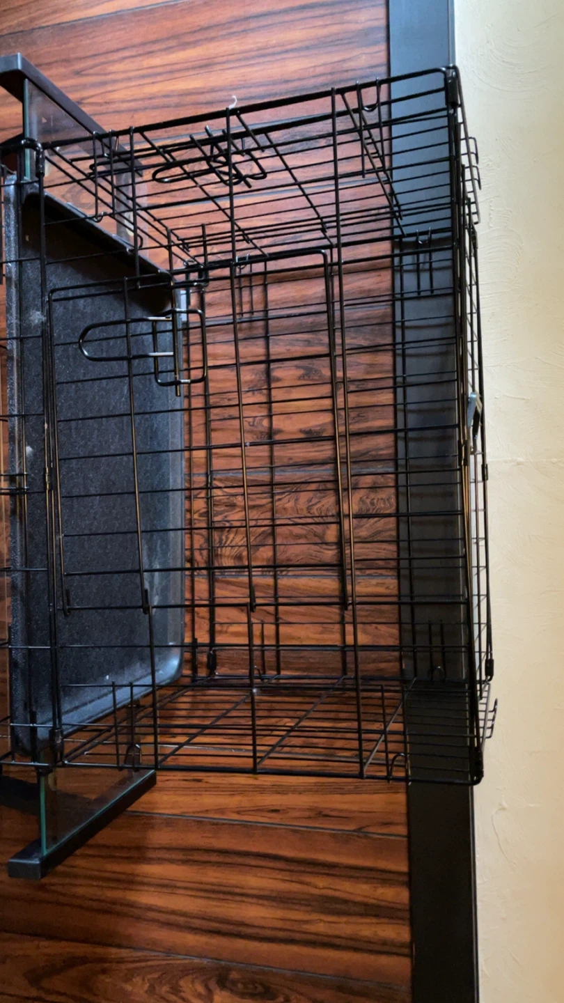 Black Metal cat  Crate with Tray