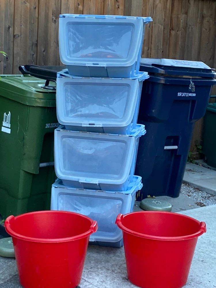 Storage bins