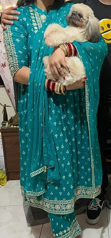 Kurti Set with Pants and Dupatta (Indian Kurti)